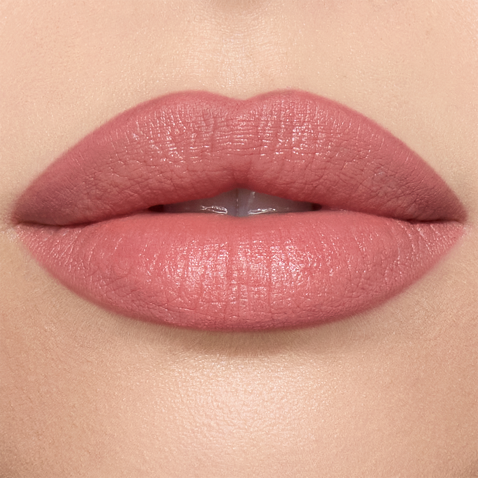 Lip Cheat Pillow Talk Model