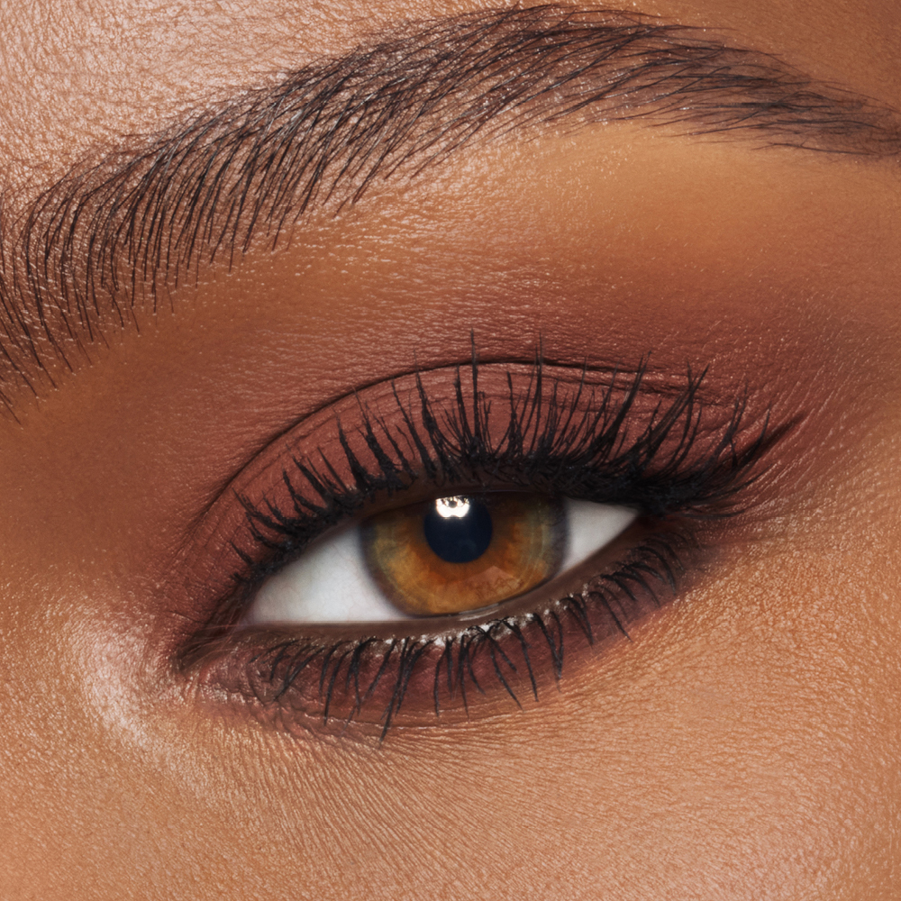 Exagger-eyes Eyeshadow Stick - Chestnut Sculpt Model Close Up