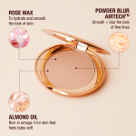 AIRBRUSH FLAWLESS POWDER INGREDIENTS