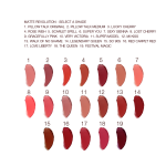 Swatches of nineteen lipsticks with a matte finish in shades of red, brown, orange, pink, and purple.