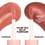Pillow Talk Big Lip Plumpgasm Lip Kit