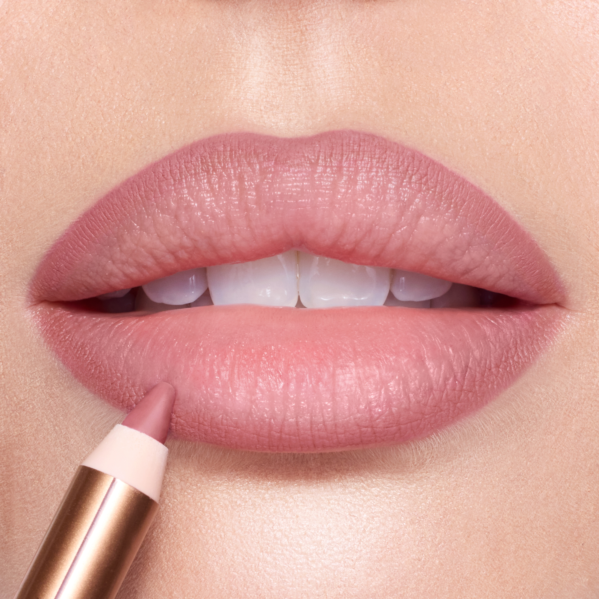 Lip Cheat - Pillow Talk Fair on fair model