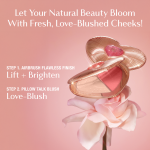 Pillow Talk Beauty Soulmates Love Blush Palette -  Infographic Steps